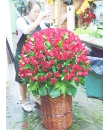 250 stalks red rose basket