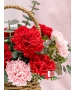 Carnations Charm - Flower Basket of Carnations