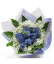 Hyacinths Bouquet 