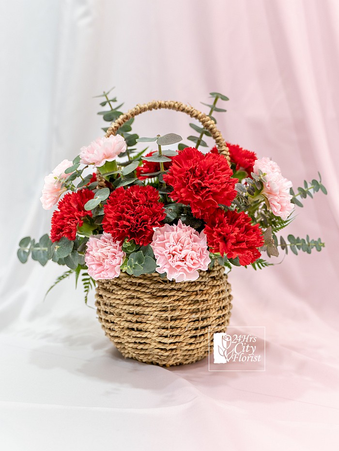 Carnations Charm - Flower Basket of Carnations