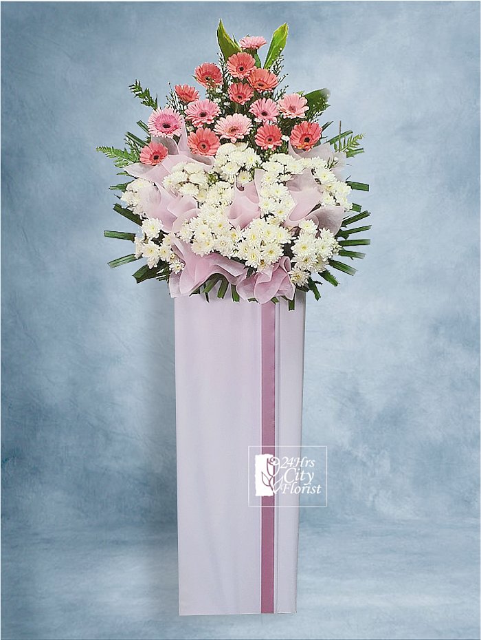 Sweet Remembrance -  Pink gerberas, white poms -  Flower for Funeral 