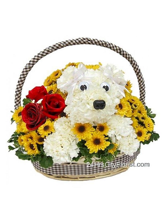 puppy arrangement in a basket