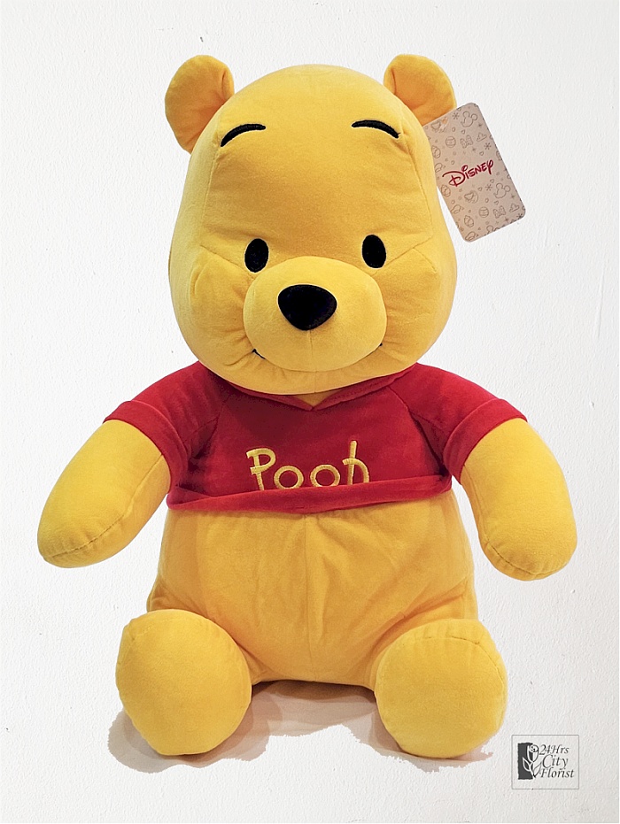 Pooh Bear - 45cm..