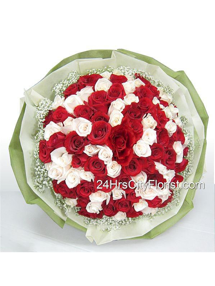 Red And White Rose H..